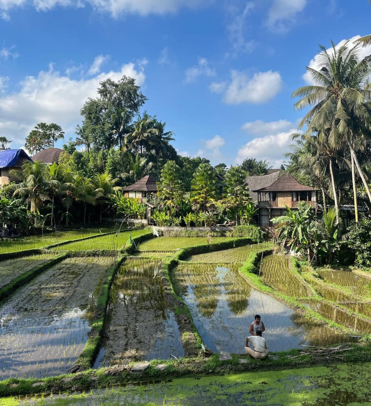 Bali…glimpsing through!